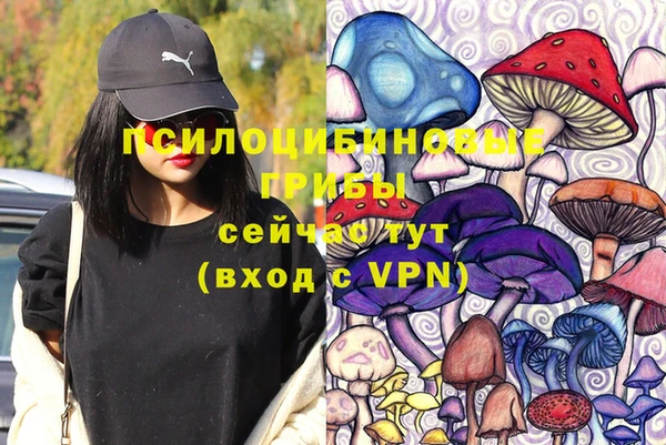 дурь Горно-Алтайск