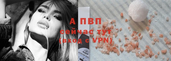 ПСИЛОЦИБИНОВЫЕ ГРИБЫ Покров