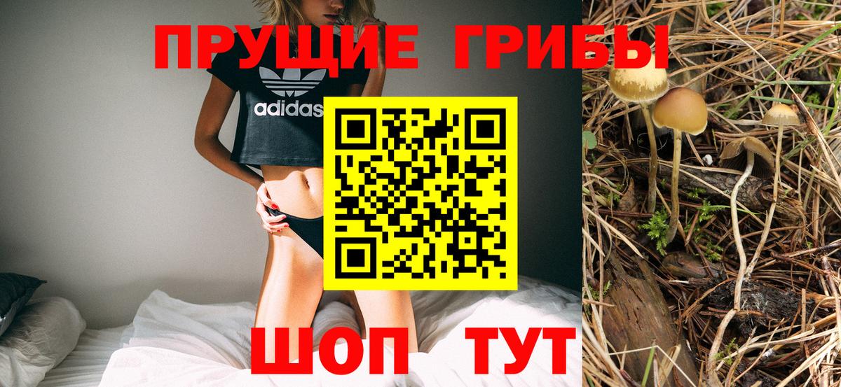 Кохма  Галлюциногенные грибы мицелий  купить наркотик  Вход с VPN  Псилоцибиновые грибы Cubensis 