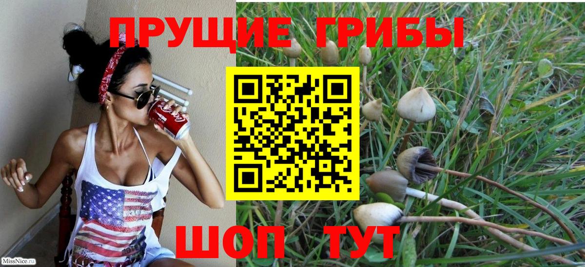 Галлюциногенные грибы Magic Shrooms Кохма